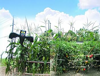 Amazon.co.jp: 龍宝丸 鳥追いコウモリくん №K-003 : DIY・工具・ガーデン