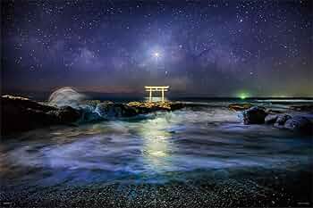 71vOGFau7bL._AC_UF350,