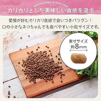 Amazon | モグニャン キャットフード （1.5kg）全猫種 全年齢 対応