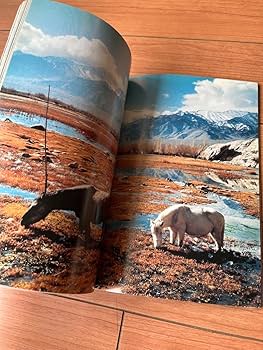 Amazon.co.jp: 写真集 ライド ライド ライド 藤代冥砂 : ホーム＆キッチン