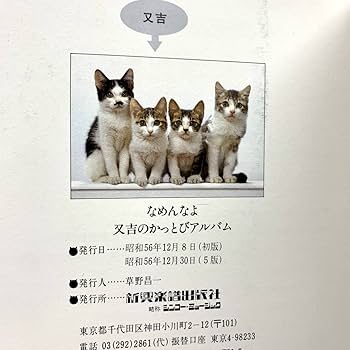 Amazon.co.jp: なめんなよ 又吉のかっとびアルバム 大写真館 2冊セット