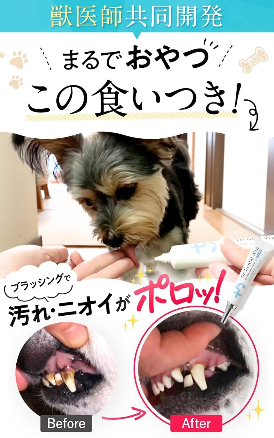 Amazon.co.jp: 【ドクターデンタルワン 2本セット】犬 歯磨き 犬