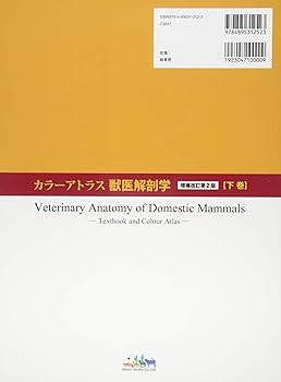 71M1Q5BihZL._AC_UF350,