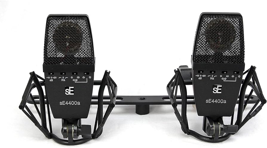 Amazon.com: SE ELECTRONICS - SE4400a Multi Pattern Large Diaphragm