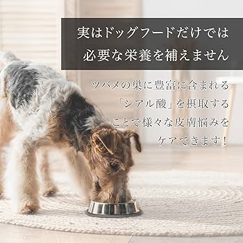 Amazon.co.jp: MIRANEST 犬用 ゼリー サプリメント‐ ミラネストゼリー