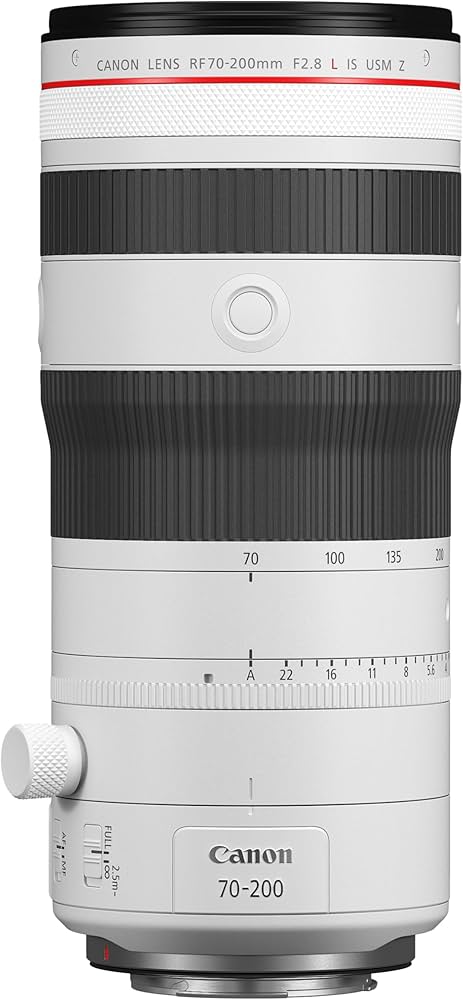 Amazon.com : Canon RF70-200mm F2.8 L is USM Z White : Electronics