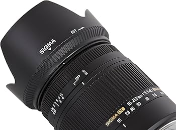Amazon.com : Sigma 883101 18-250mm f3.5-6.3 DC Macro OS Hyper