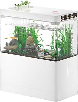 71XIl+yS63L._AC_UF350,