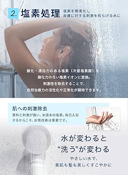 Amazon.co.jp: 【公式ストア】ionac イオナック シャワーヘッド本体