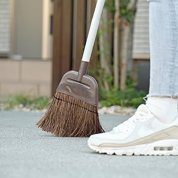 71DaM4Jd2BL._AC_UF350,