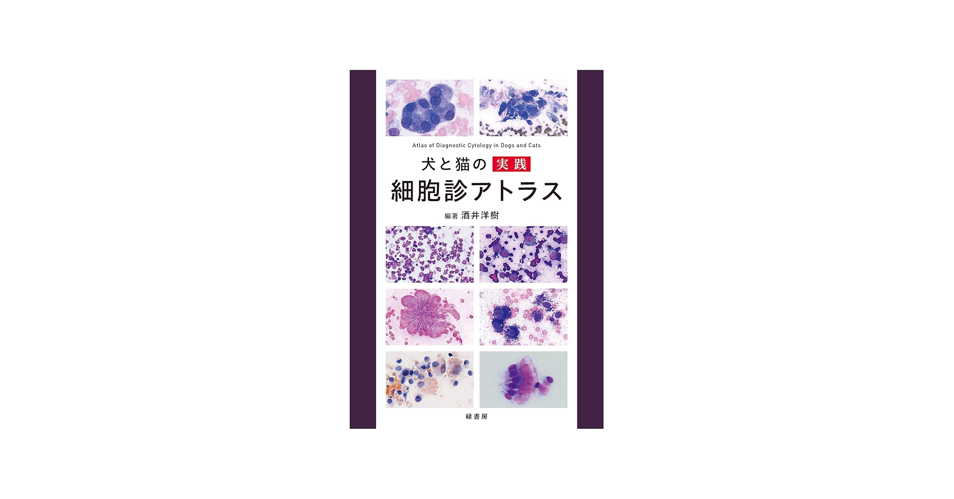 71DpR7vvxqL.jpg_BO30,255,255,