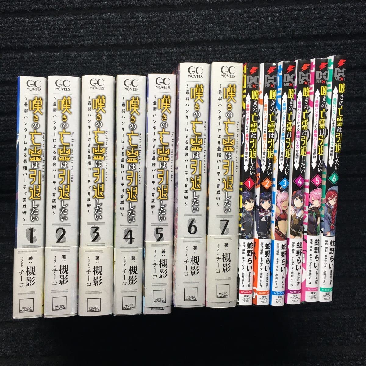 Amazon.co.jp: 嘆きの亡霊は引退したい 小説1?7巻 コミック1?6巻セット