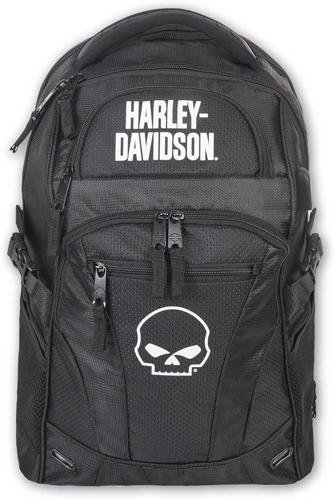 Amazon.com: Harley-Davidson Willie G Skull Logo Renegade