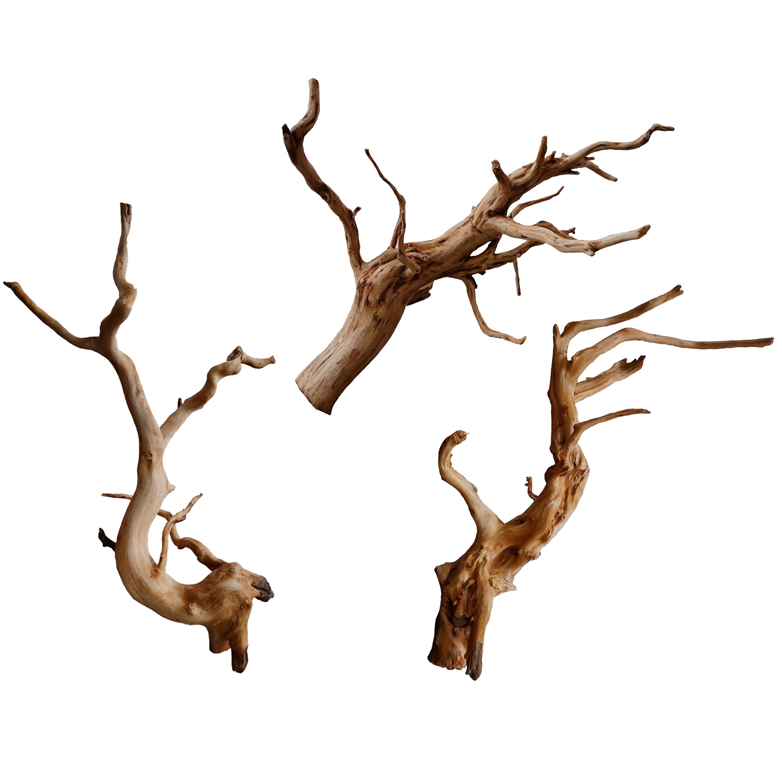 Amazon | 45cm水槽用 流木3本セット（ナチュラル色）【AQUASHOP