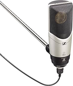 Amazon.com: Sennheiser MK 4 Large Diaphragm Condenser Microphone