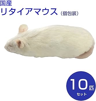 冷凍マウス リタイア 50匹セット 送料無料 冷凍マウス」の人気商品一覧
