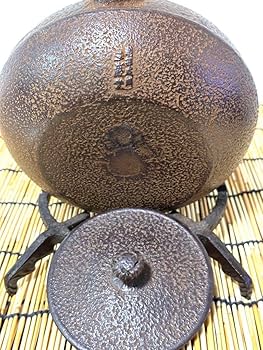 71lNiXGRXbL._AC_UF350,