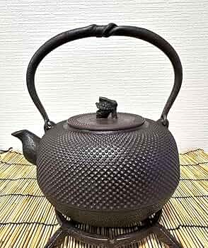 71oW-yVIzPL._AC_UF350,