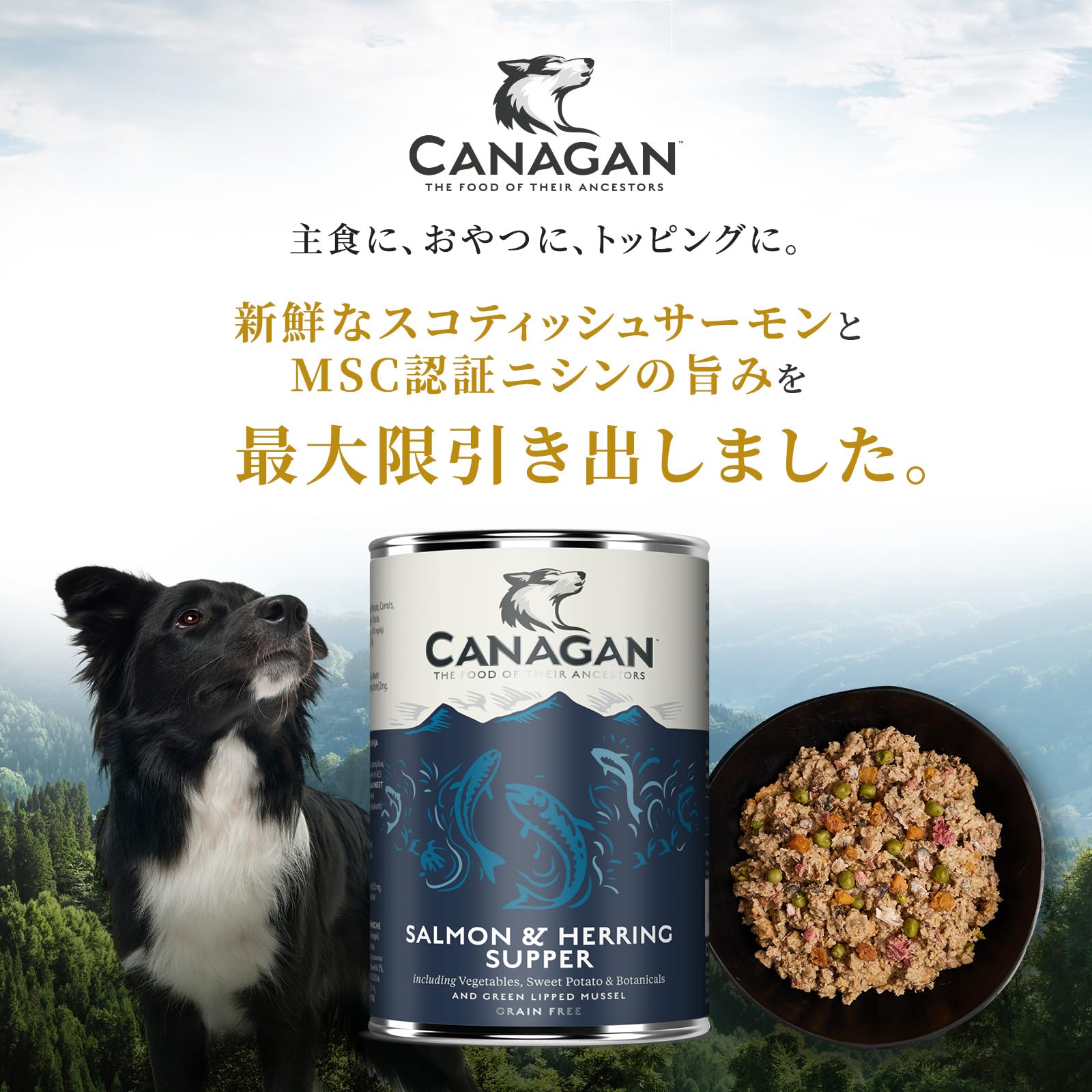 Amazon.co.jp: カナガン ドッグフード サーモン＆ニシン 缶詰(400g×1缶