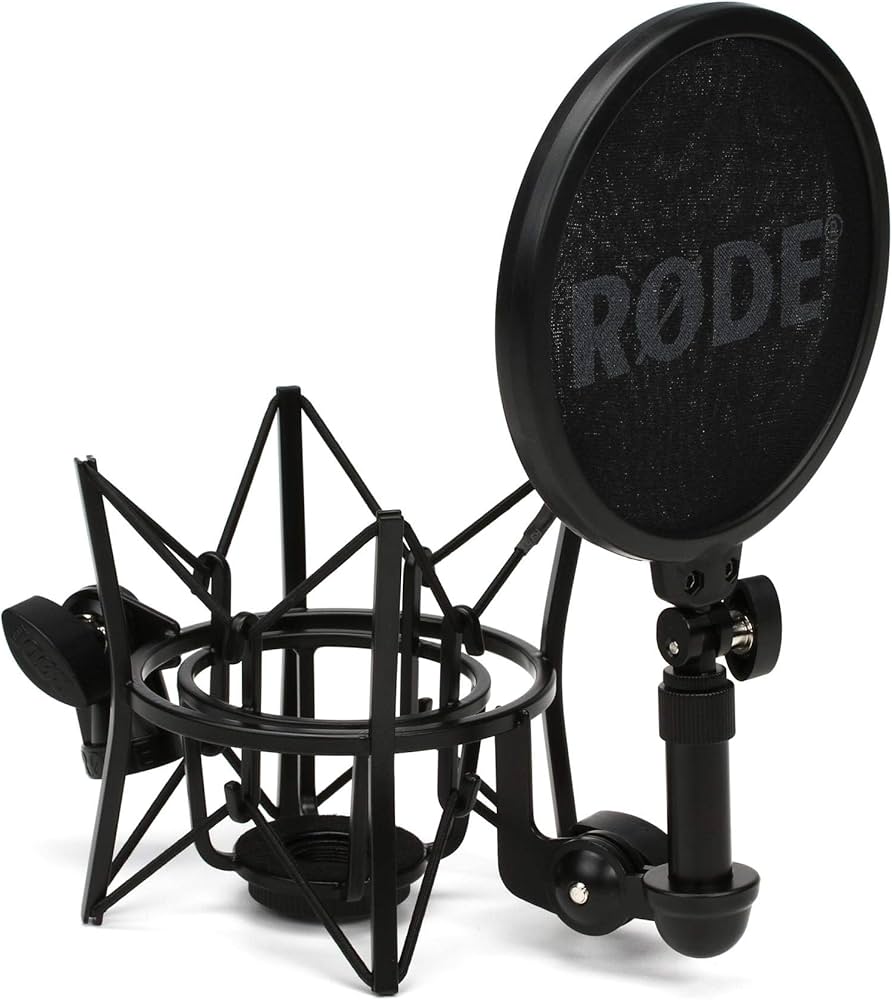 Amazon.com: Rode SM6, Black : Musical Instruments