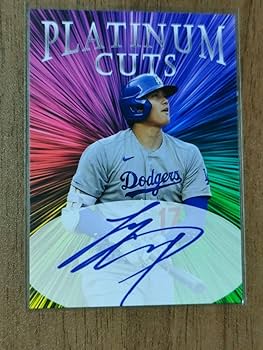 71qyWZnS1wL._AC_UF350,