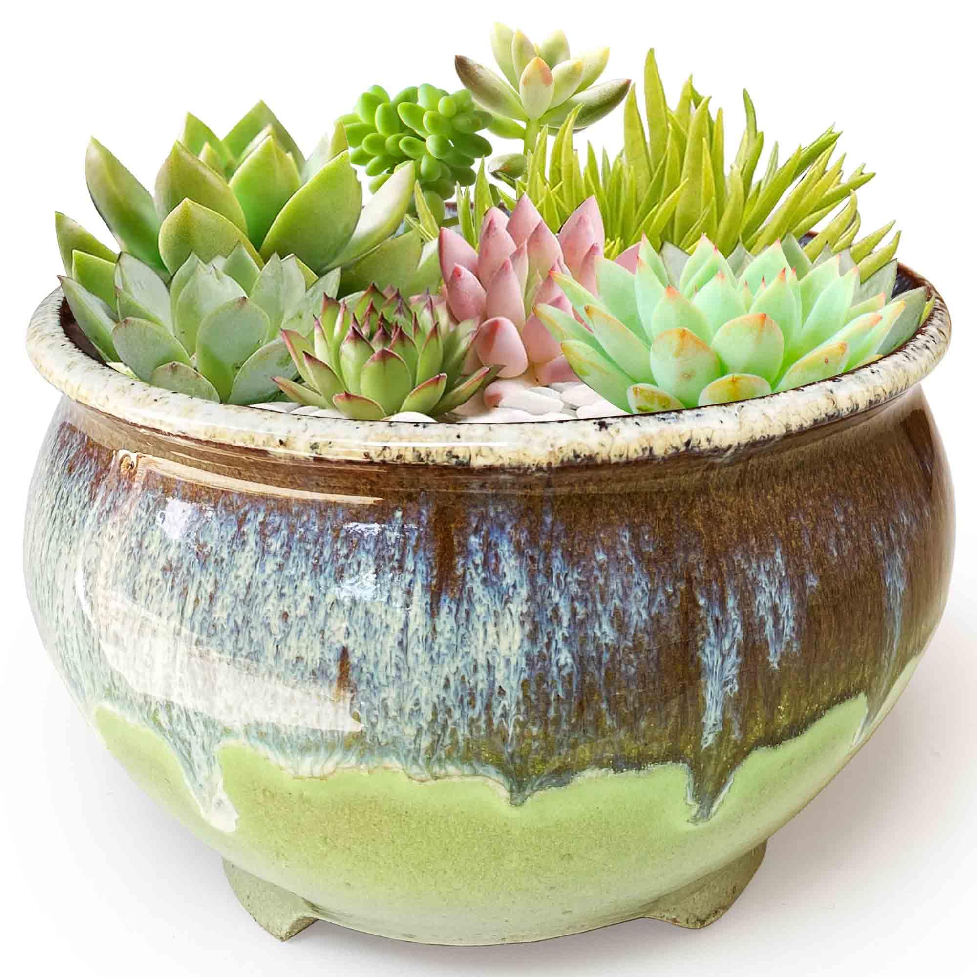 Amazon.com : Casktcom Unique 6.3 Inch Glazed Ceramic Shallow