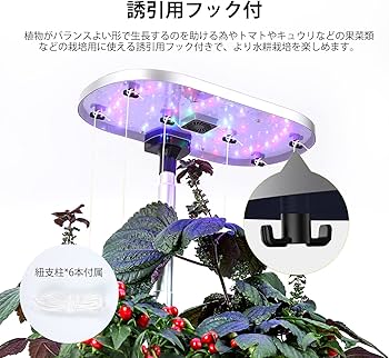 Amazon | JustSmart 水耕栽培キット 室内 水耕栽培 おしゃれ 家庭菜園