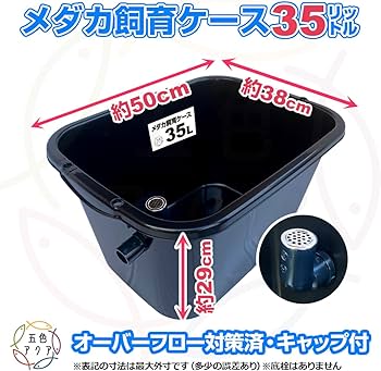 Amazon | 五色アクア メダカ飼育容器 35リットル 黒 オーバーフロー