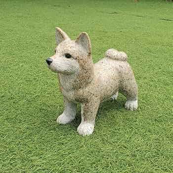 71dh3gmJQTL._AC_UF350,