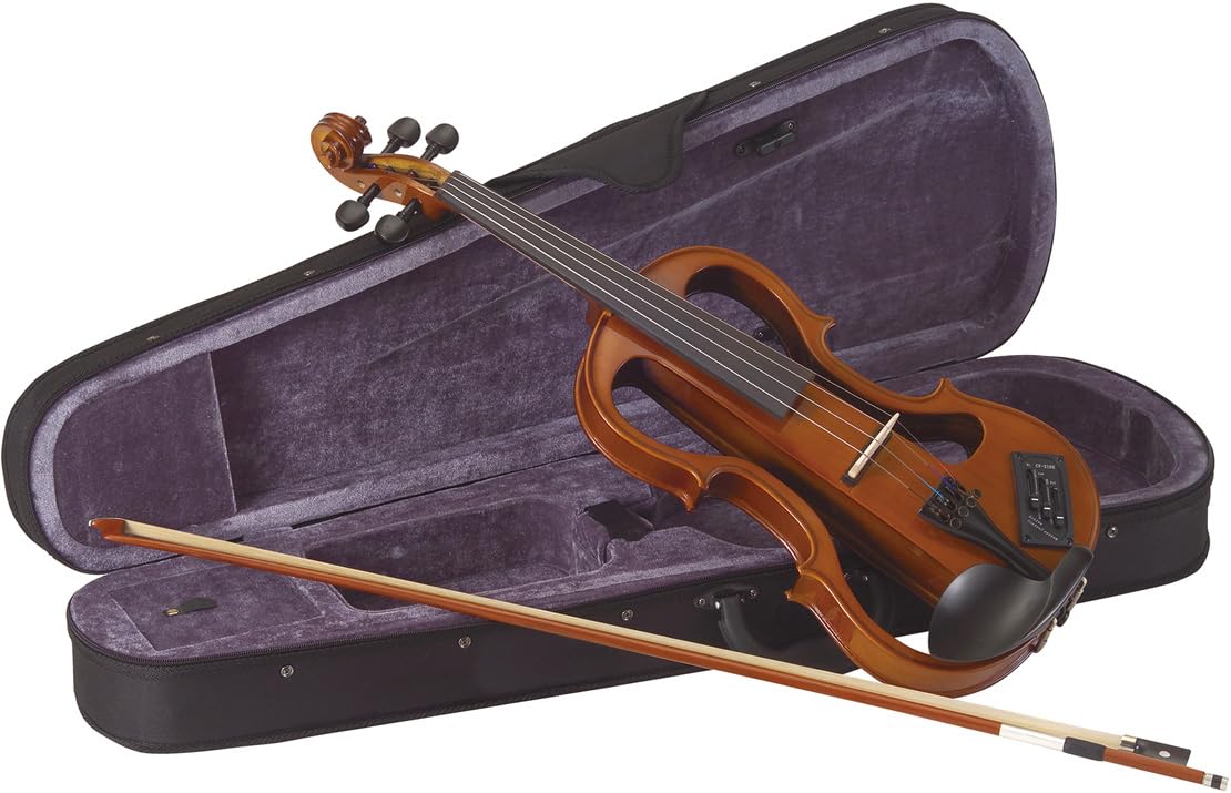 Amazon.com: Carlo giordano Electric violin EV202 (Black) : Musical