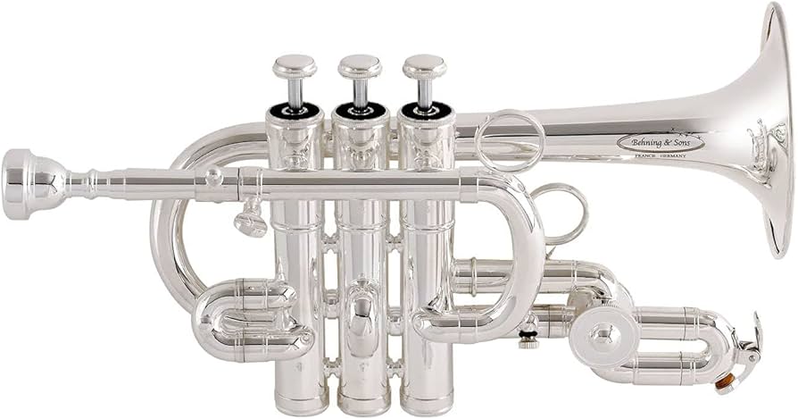 Amazon.co.jp: Behning & Sons ピッコロトランペット 3本ピストン 610