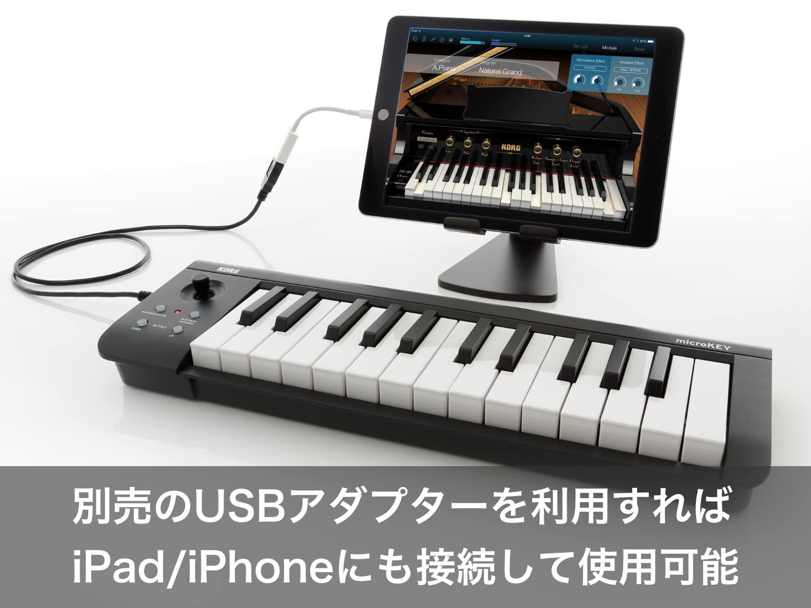 Amazon | KORG(コルグ) MIDIキーボード microKEY2 マイクロキー DTM/49