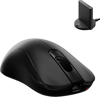 Amazon.com: BenQ Zowie ZA13-DW 4K Wireless Mouse for Esports