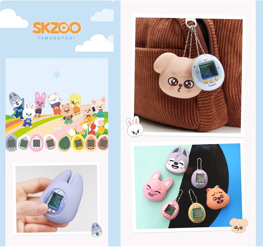 Amazon.com: (Official) SKZOO Digital Game Keyring & CASE Set