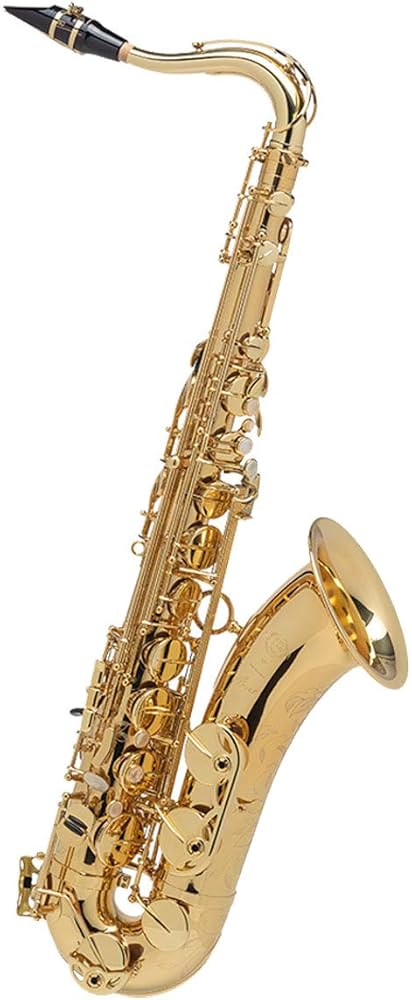 Amazon | H.Selmer/TENOR SAX AXOS セルマー テナーサックス アクソス