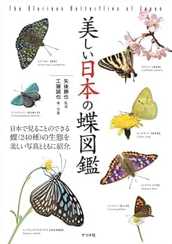 美しい日本の蝶図鑑 | 工藤誠也, 矢後勝也 |本 | 通販 | Amazon