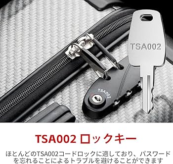Amazon.co.jp: TSA 鍵 TSA002用のロックキー 鍵 2本セット トラベル