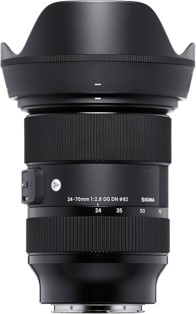 Sigma 24-70mm F2.8 DG DN Art for Sony E Lens ,Black : Amazon.ca