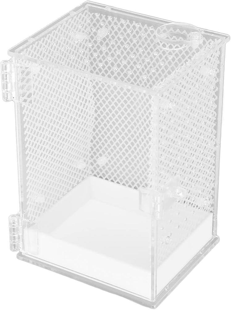 Amazon.co.jp: カマキリ飼育ボックス、給餌穴付きアクリル給餌ケージ