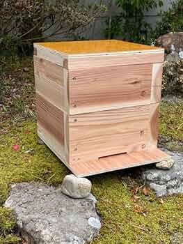 Amazon.co.jp: 日本みつばち用 飼育箱 簡単 重箱式巣箱 待ち箱 養蜂