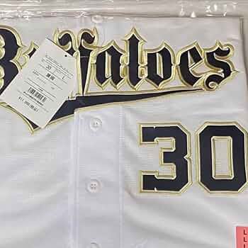 61vI8-aBH4L._AC_UF350,