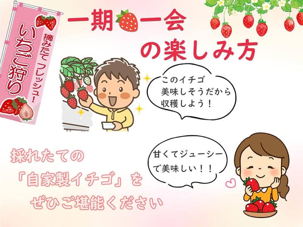 Amazon.co.jp: 苺苗 いちご苗3種セット あきひめ苺 よつぼし苺苗
