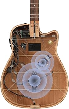 Amazon.co.jp: ヤマハ YAMAHA トランスアコースティックギター(第2世代