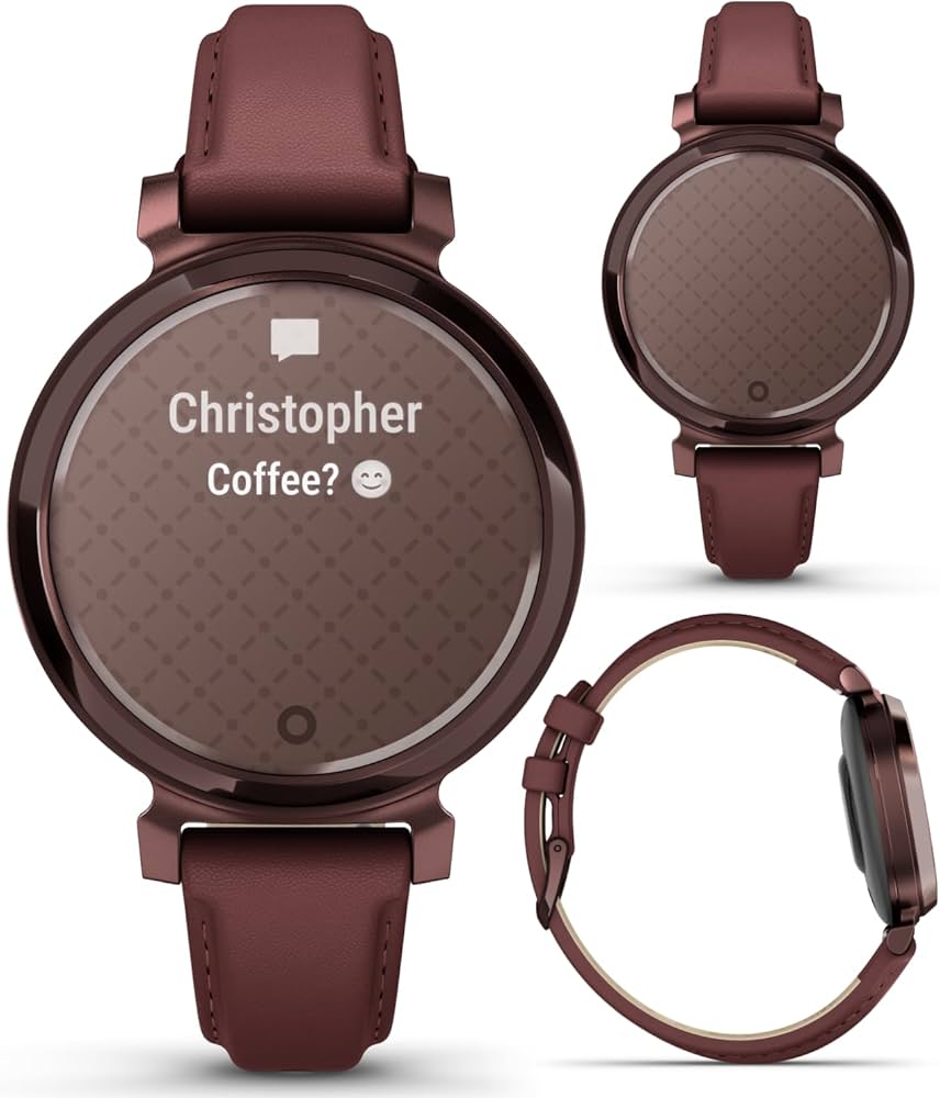 Amazon.com: Wearable4U Garmin Lily 2 Classic - Dark Bronze with