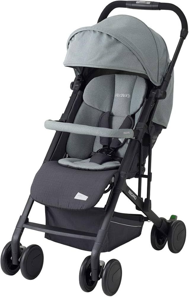 Amazon.co.jp: レカロ イージーライフ エリート 2 サイレントグレー