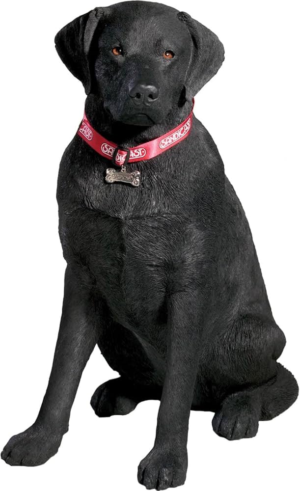 Amazon.co.jp: Sandicast Lサイズ 黒ラブラドールレトリバー彫刻 お