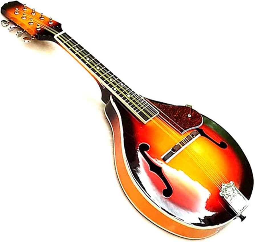 Amazon | マンドリン楽器 8弦マンドリンギター無垢材スチール弦