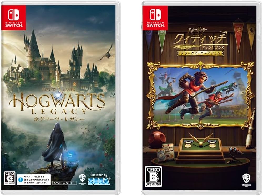 Amazon.co.jp: ホグワーツ・レガシー【予約特典】DLC オニキス