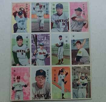 61Ry9DOiahL._AC_UF350,