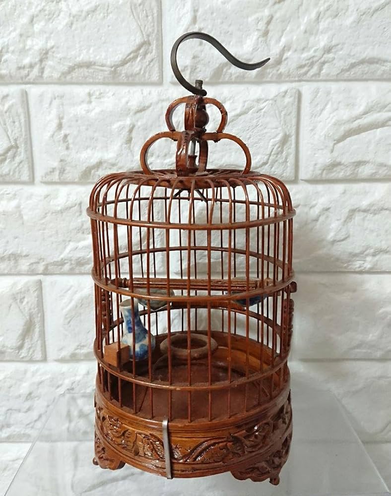 Amazon.co.jp: 鳥かご 鳥籠 香港 アンティーク 竹籠 竹製 文鳥